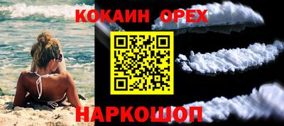 стаф Тара