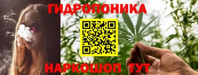 стаф Тара